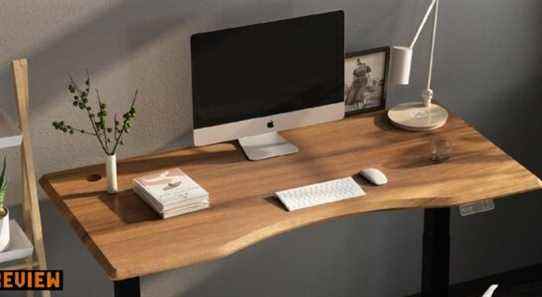 Examen Flexispot Standing Desk Pro Series E7 : Qualité personnalisable