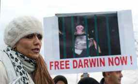 Yasmin Nakhuda, dont le singe Darwin lui a été enlevé après avoir été retrouvé errant dans un parking IKEA, prend la parole lors d'une manifestation soutenant le retour du singe, en décembre 2012. FICHIERS DU RÉSEAU POSTMEDIA