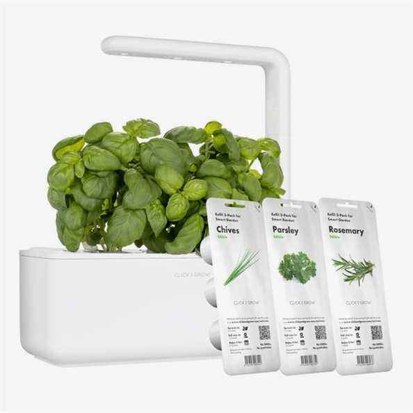 Kit Click and Grow « Herbs Go with Everything »