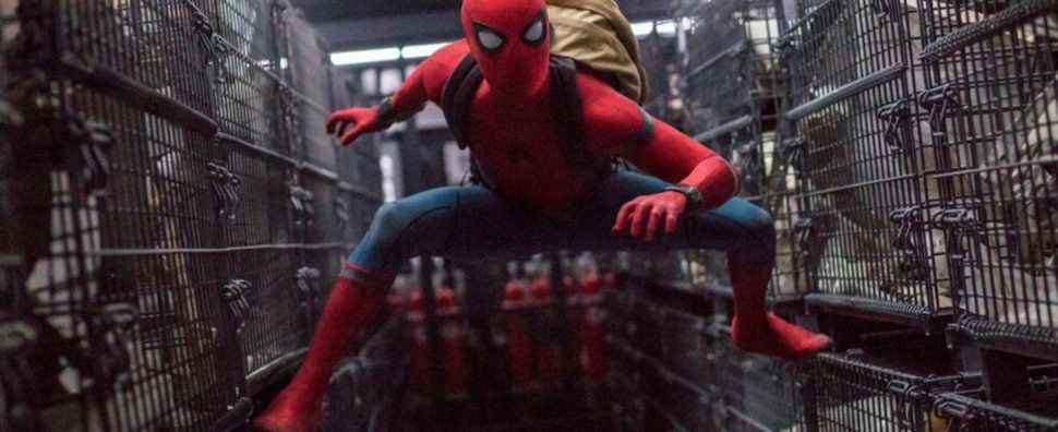 Spider-Man: No Way Home publie un score de 100 % pour les tomates pourries