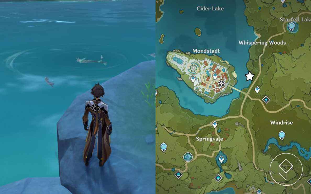 Une carte fractionnée montrant des poissons nageant dans un lac de nuit sur la gauche avec une étoile marquant son emplacement sur la droite