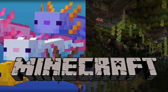 Minecraft: 8 choses que les grottes et les falaises ont améliorées