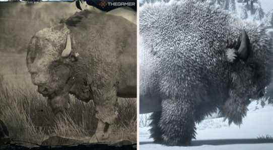 Red Dead Online : emplacements de bisons légendaires