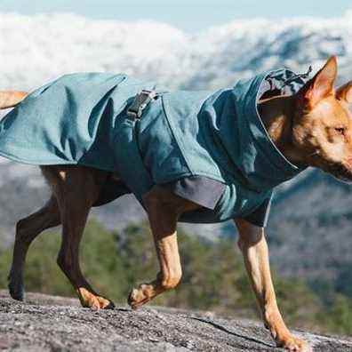 Parka isolée pour chien Hurtta Expedition