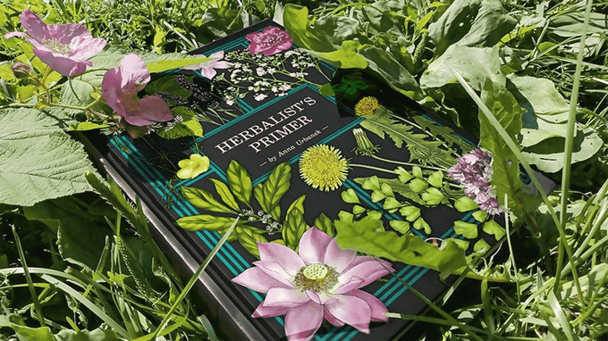 Une copie de Herbalist's Primer d'Anna Urbanik dans un champ de fleurs.
