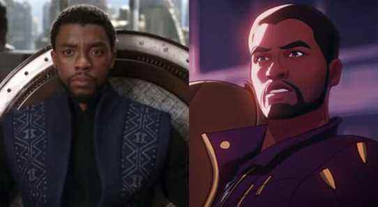 Chadwick Boseman voudrait que son rôle de Black Panther soit refondu, déclare son frère