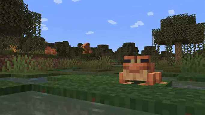 Grenouille assise sur l'herbe dans Minecraft The Wilds