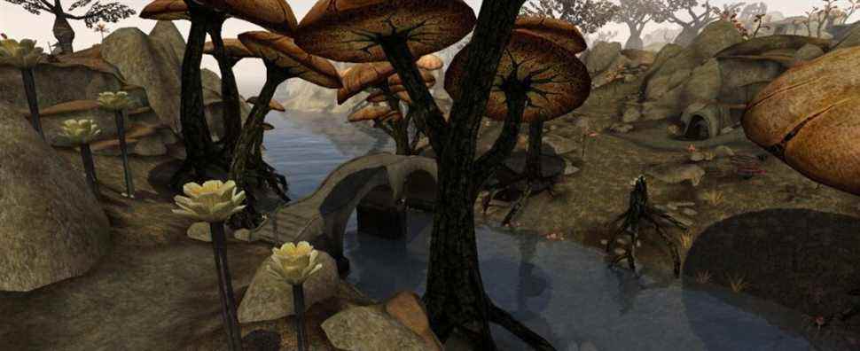 Après 19 ans de développement, le mod Morrowind absurdement ambitieux révèle une nouvelle feuille de route