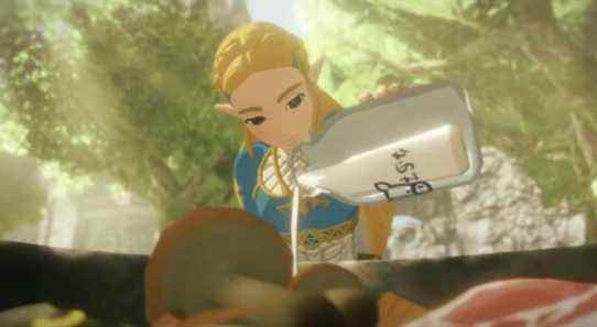 Avez-vous repéré ce savoureux Zelda: Breath Of The Wild référence dans Hyrule Warriors: Age Of Calamity?