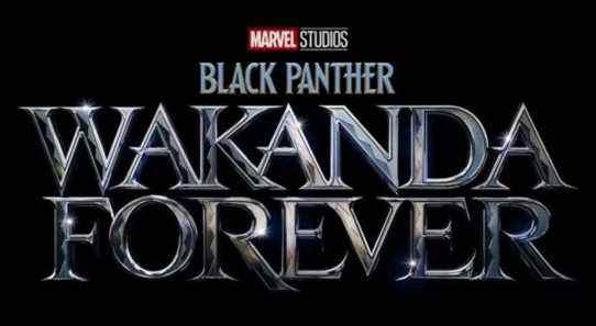 Black Panther: Wakanda Forever - Tout ce que nous savons sur la suite du MCU