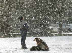 Fionia Oakes profite de la neige avec ses chiens Cedar et Maxine à Vancouver, en Colombie-Britannique, le 8 février 2021.