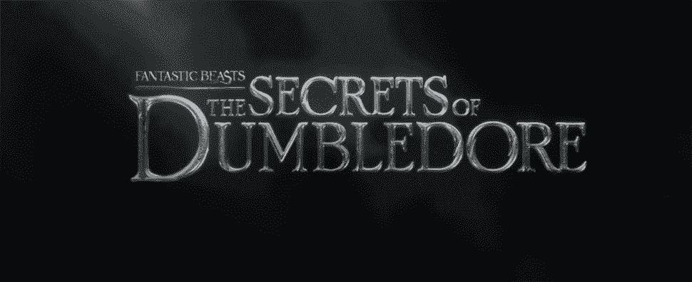 Fantastic Beasts: Le secret de la bande-annonce de Dumbledore révèle les débuts de Mads Mikkelson à Grindlewald