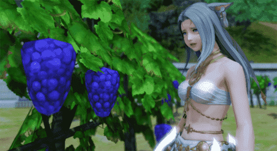 Final Fantasy 14 : Endwalker « répare » ses magnifiques raisins low-poly