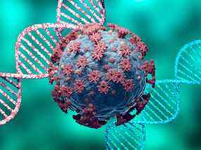 Coronavirus et ADN, mutation virale.