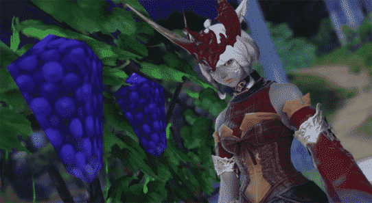 La communauté de Final Fantasy 14 pleure la perte de raisins à faible teneur en poly