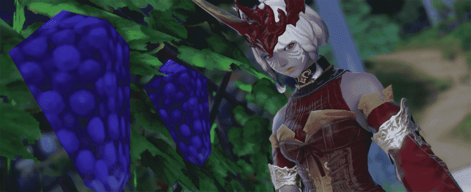 La communauté de Final Fantasy 14 pleure la perte de raisins à faible teneur en poly
