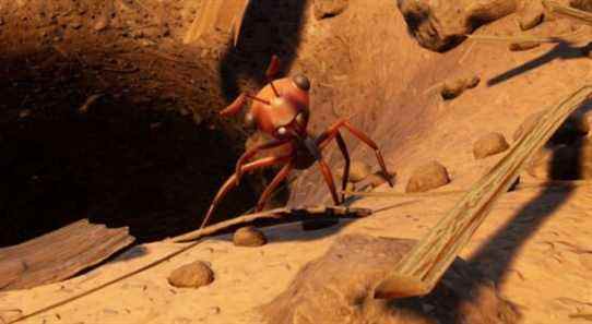 La prochaine mise à jour de Grounded ajoute un donjon rempli de fourmis et un bac à sable littéral