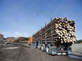 Les États-Unis augmentent les droits sur le bois d'œuvre résineux canadien de la plupart des producteurs à 17,9 pour cent contre 9 pour cent.