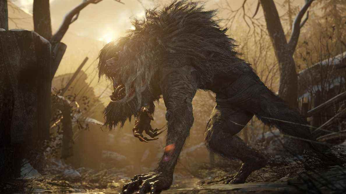 Une bête ressemblant à un loup-garou rôde dans une zone boisée au coucher du soleil à Resident Evil Village