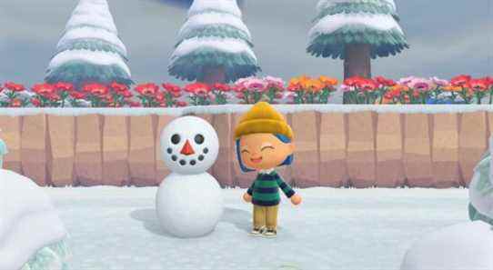 Les joueurs d'Animal Crossing expliquent comment faire le parfait Snowboy