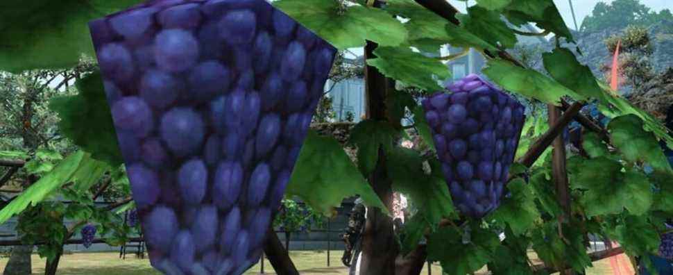 Les joueurs de Final Fantasy XIV entrent en deuil alors que le patch 6.01 lisse les raisins en blocs