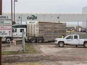L'usine de viande bovine de Cargill Inc. à High River, en Alberta.