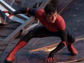 On dirait que quelqu'un a regardé Black Widow : Tom Holland dans Spider-Man : No Way Home.