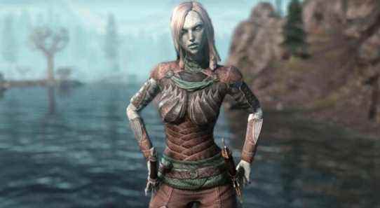 Bethesda taquine une possible extension des elfes de mer en ligne d'Elder Scrolls