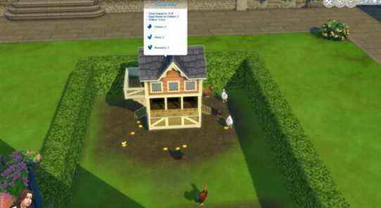 Les Sims 4 : Comment nettoyer les poulets
