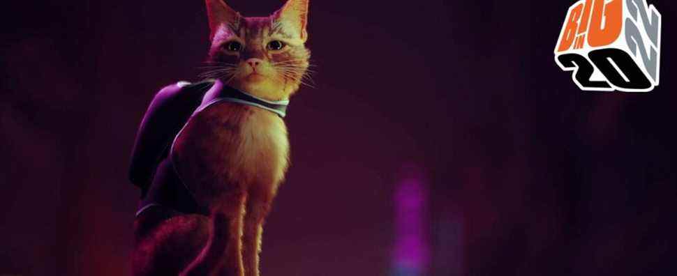 Stray regorge de singeries de chat ludiques dans le contexte d'une cybercité intrigante