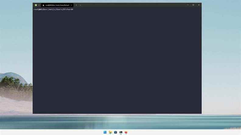Linux Mint sur WSL