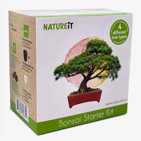 Natureit Kit de démarrage de graines de bonsaï