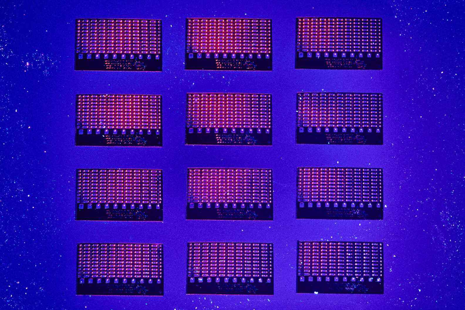 Gros plan des puces informatiques de deuxième génération de Zeloof sous une lumière bleue et rose