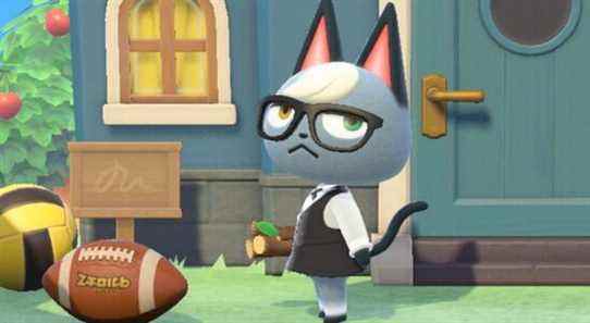 Animal Crossing: New Horizons Fan fabrique un tapis basé sur Raymond
