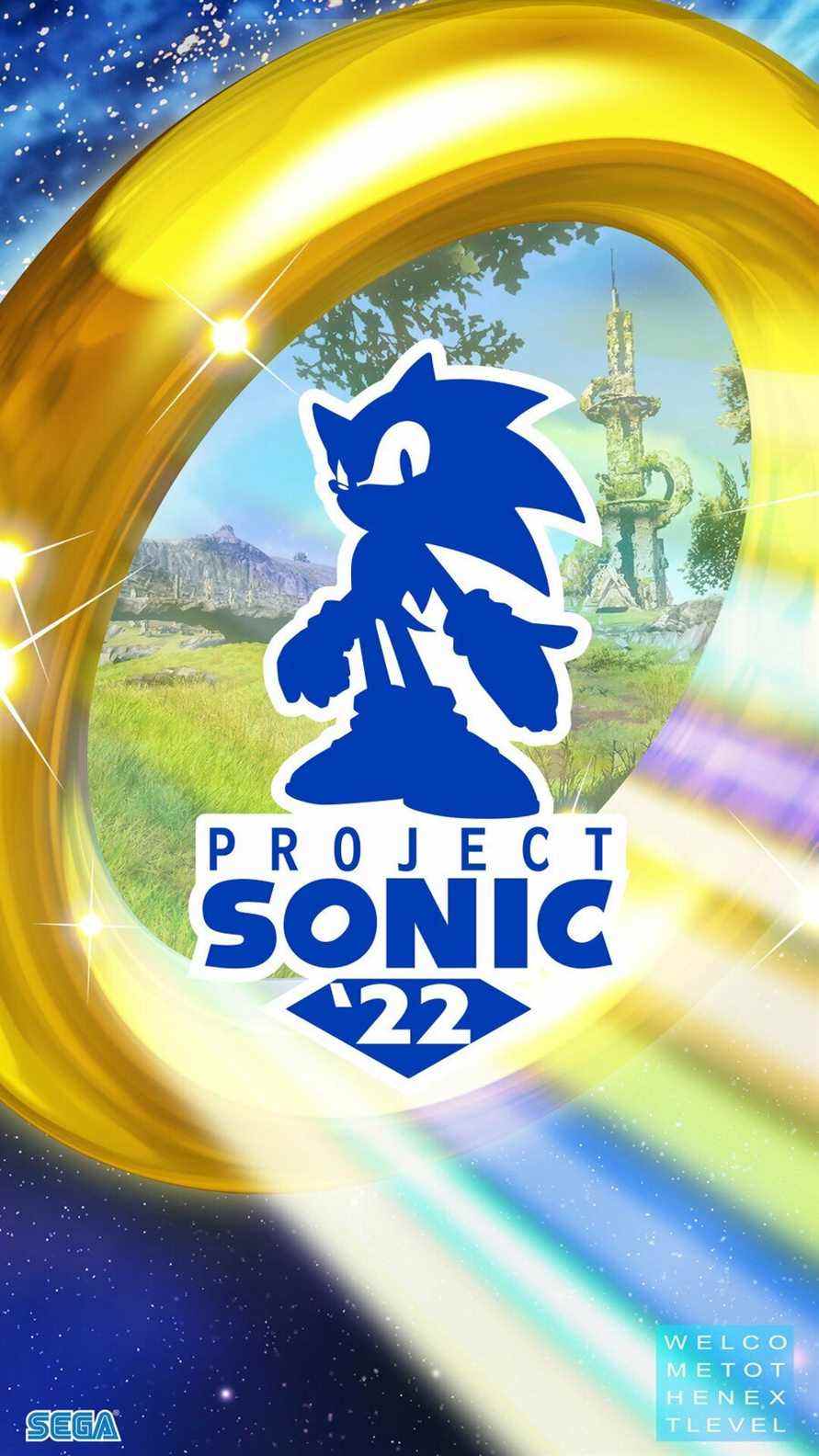 Sonic niveau suivant2