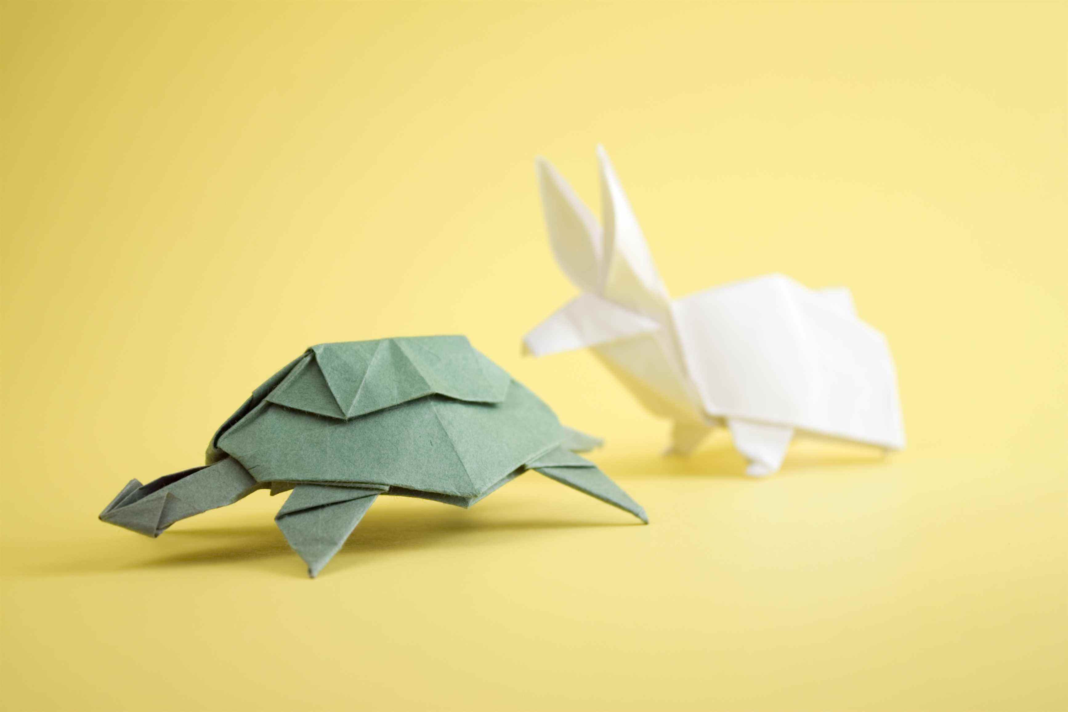 Origami Tortue et le lièvre
