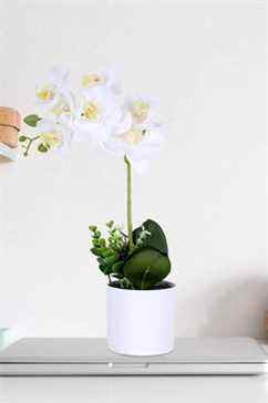 LIVILAN Orchidée Phalaenopsis en soie dans un vase blanc
