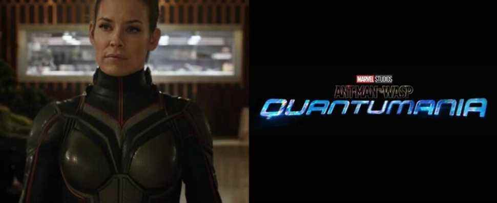Evangeline Lilly croit qu'Ant-Man et la guêpe: Quantumania est le «meilleur à ce jour»