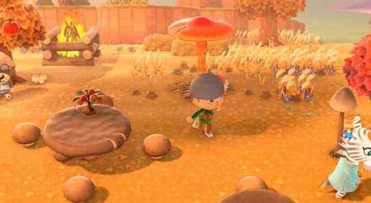 Animal Crossing: le support de New Horizons se termine pendant la durée de Pocket Camp