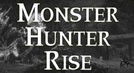 Capcom ajoute des filtres d'écran à la version PC de Monster Hunter Rise