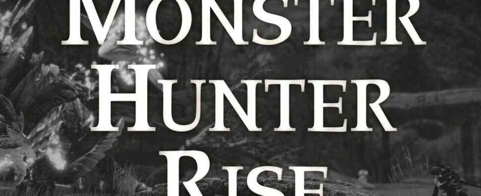 Capcom ajoute des filtres d'écran à la version PC de Monster Hunter Rise