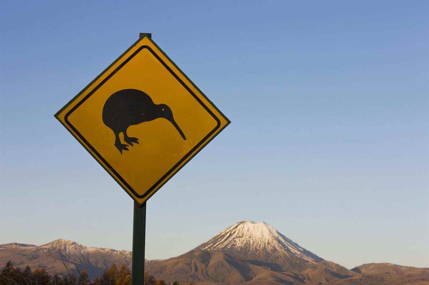 Kiwi crossing sign et volcan Ngauruhoe, parc national de Tongariro, île du Nord, Nouvelle-Zélande