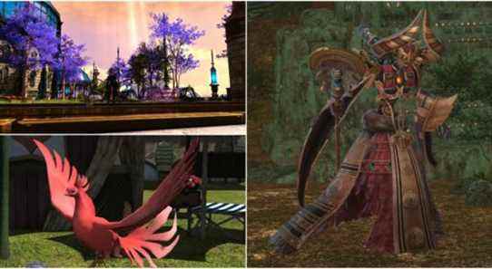 Final Fantasy 14: Shadowbringers - Guide de chasse aux clans Nutsy