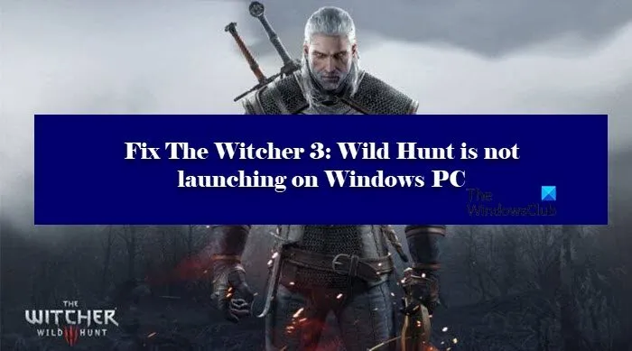 The Witcher 3: Wild Hunt ne se lance pas