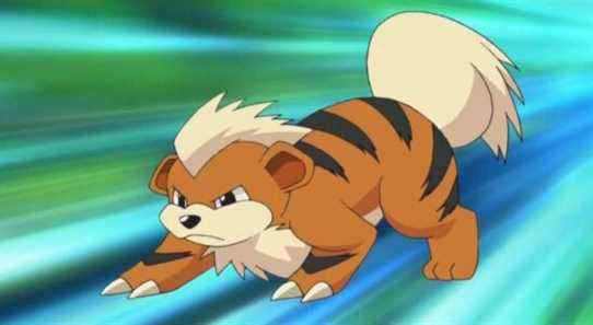 Growlithe est un bon et beau Pokémon Pupper qui n'est pas un flic
