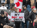 Les gens se rassemblent pour protester contre les mandats du vaccin COVID-19 et les mesures de masquage lors d'un rassemblement à Kingston, en Ontario, le 14 novembre 2021.