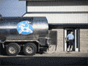 Un camion de transport de lait recueille le lait d'une ferme laitière à Caledonia, en Ontario. 