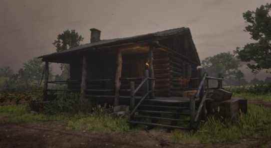 Le joueur de Red Dead Redemption 2 tombe sur un pépin terrifiant dans la cabine
