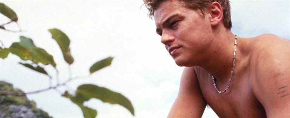 Leonardo DiCaprio obtient une espèce d'arbre qui porte son nom (malheureusement PAS appelé "Treeonardo DiCaprio")