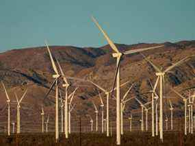 Un parc éolien à Movave, en Californie.